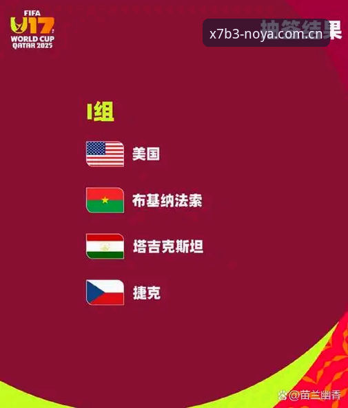 资深球迷分享：U17世界杯抽签结果深度解析，诺亚体育平台观赛体验全记录
